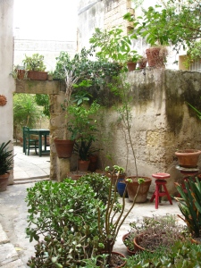 Patio and garden